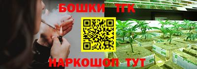дживик Дубна