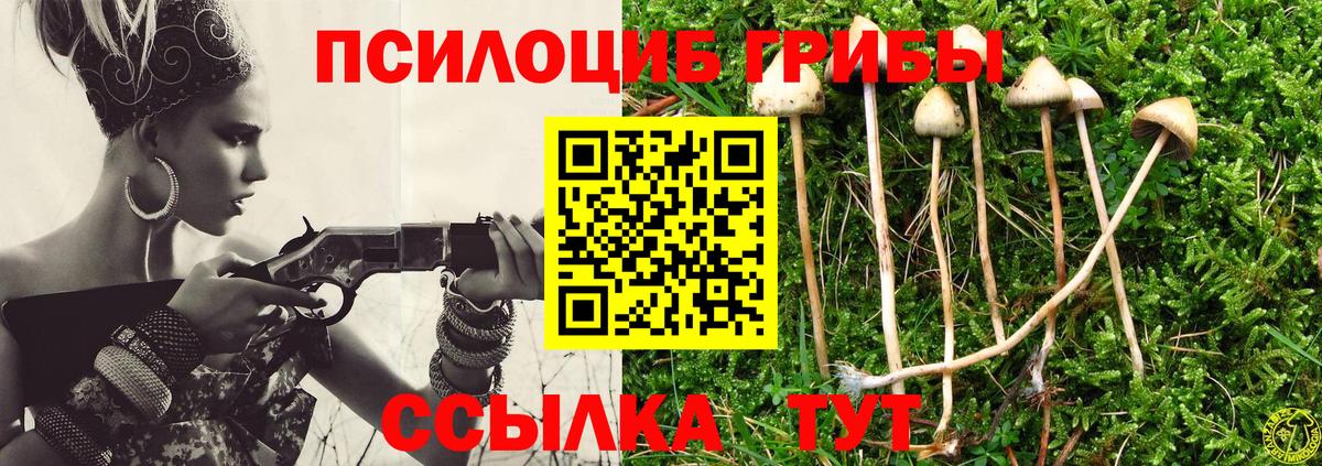 Псилоцибиновые грибы ЛСД  Псилоцибиновые грибы GOLDEN TEACHER  Вход с VPN  Тутаев 