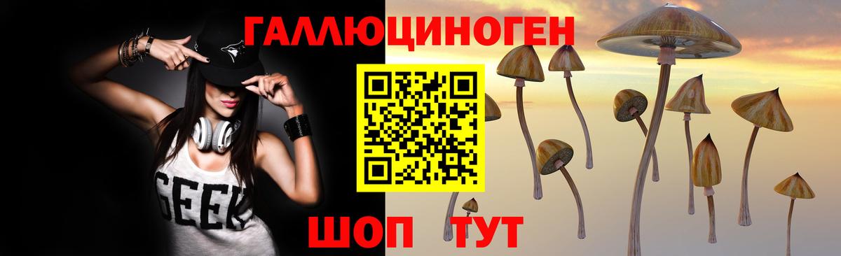 Галлюциногенные грибы Cubensis Тутаев